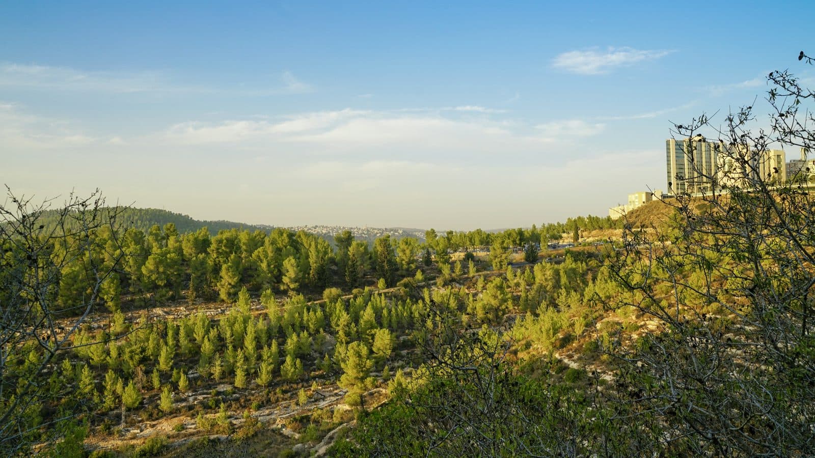Beit Shemesh