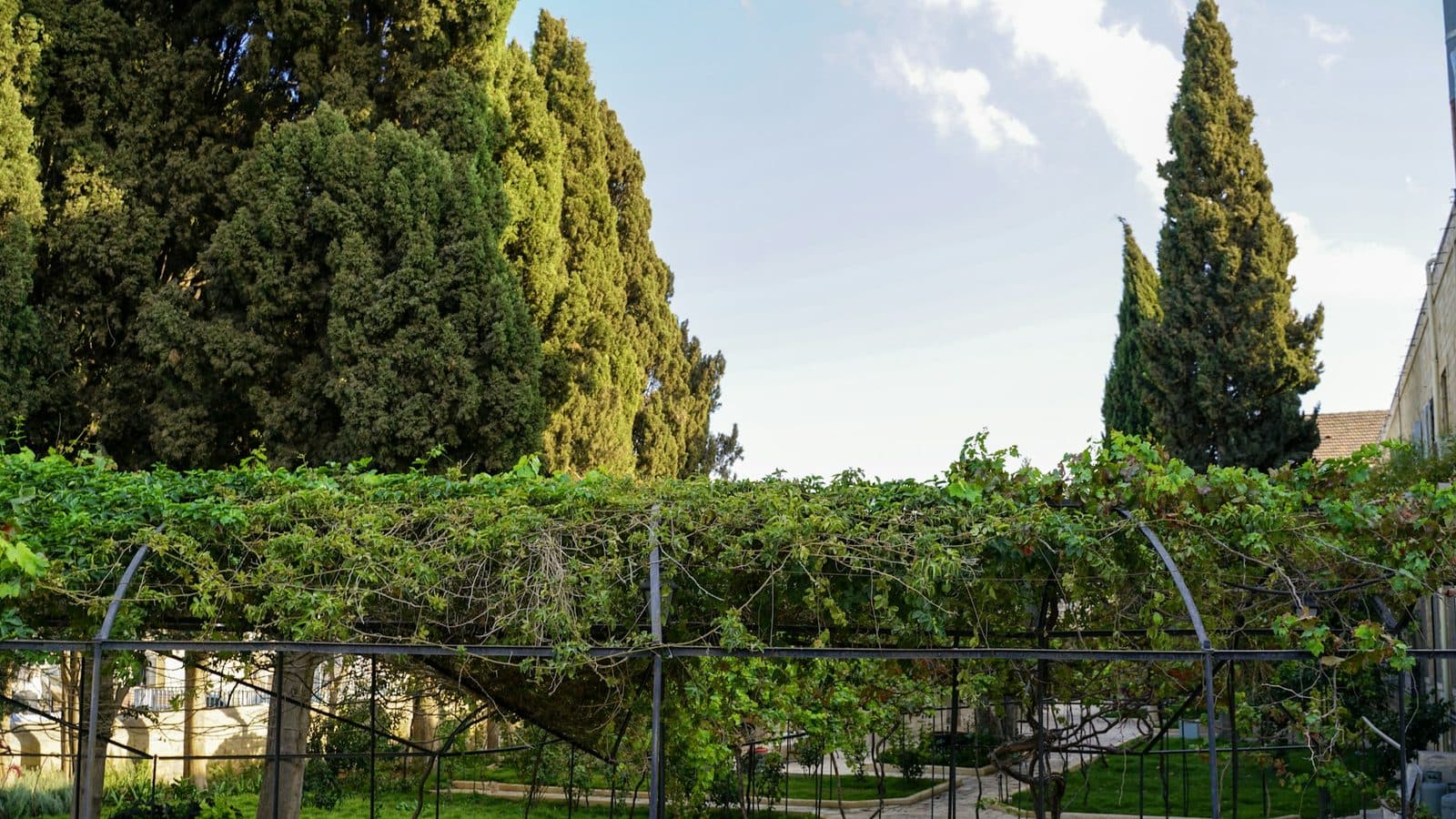 Zichron Yaakov