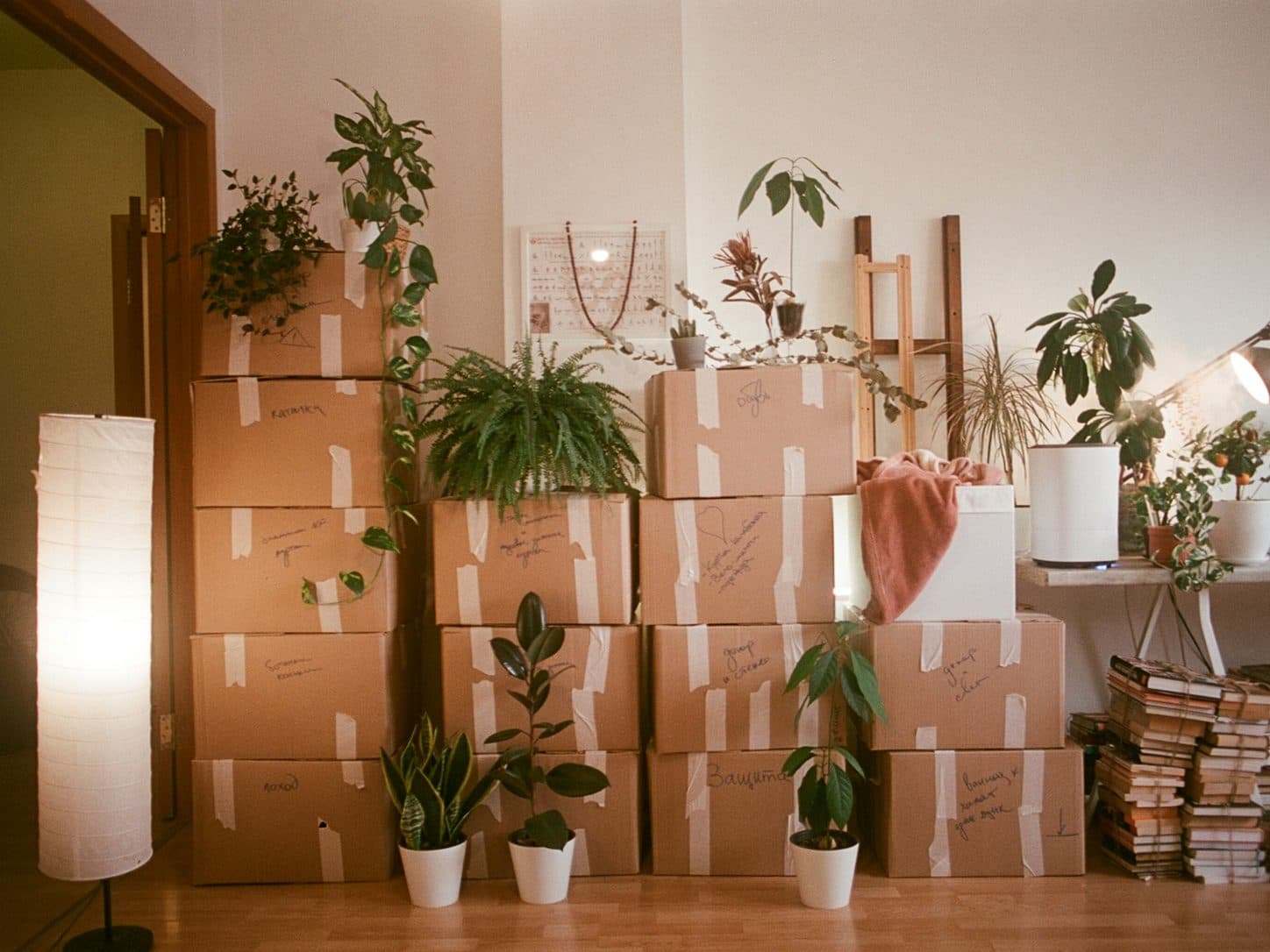 House and Villa Moving